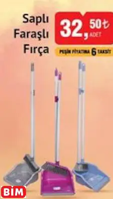SAPLI  FARAŞLI  FIRÇA